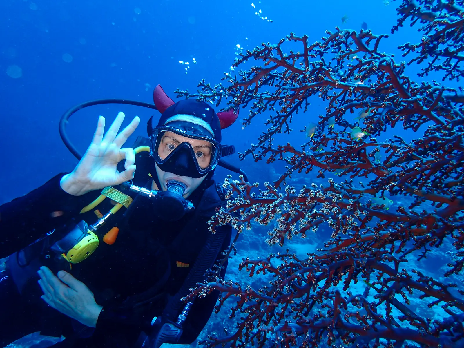 Plongeur sous-marin consultant son ordinateur de plongée au poignet lors d'une immersion en Méditerranée